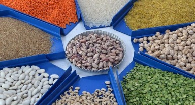 2023'te ne kadar hububat ve bakliyat ihracatı yapıldı?