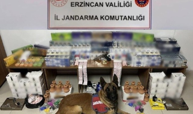 Erzincan’da jandarmadan kaçak sigara operasyonu