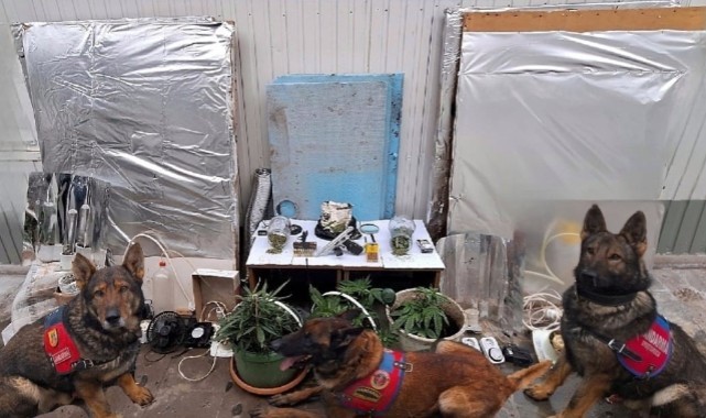 Erzincan’da uyuşturucu operasyonu: 3 gözaltı