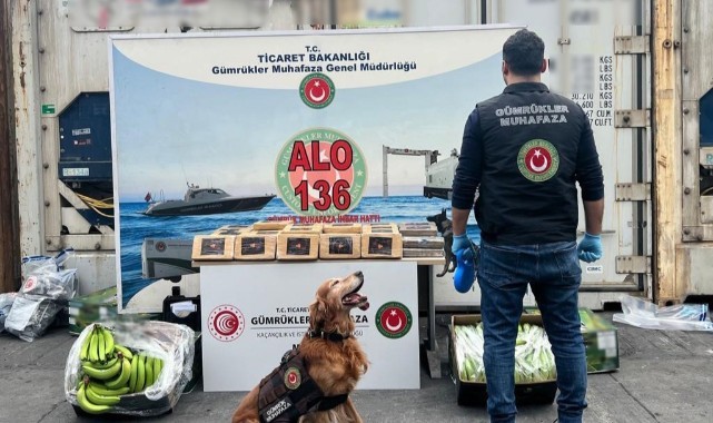 Muz dolu konteynerde 77 kilogram kokain ele geçirdi