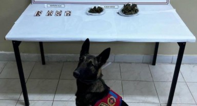 Narkotik köpeği ile arama yapılan araçta uyuşturucu yakalandı