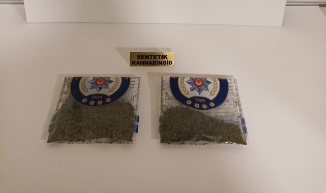Samsun'da bonzai ele geçti: 2 gözaltı