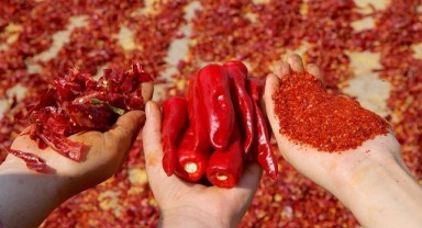 Şanlıurfa’dan dünya mutfaklarına pul biber ihraç edildi