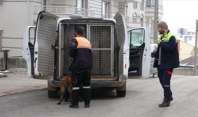 Sivas'ta köpeğin saldırdığı 2'si çocuk, 4 kişi yaralandı
