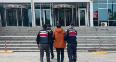 Tavuk çiftliğine uyuşturucu operasyonu: 1 tutuklama