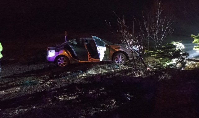 Yağmurda kayganlaşan yol kazaya neden oldu: 3 yaralı