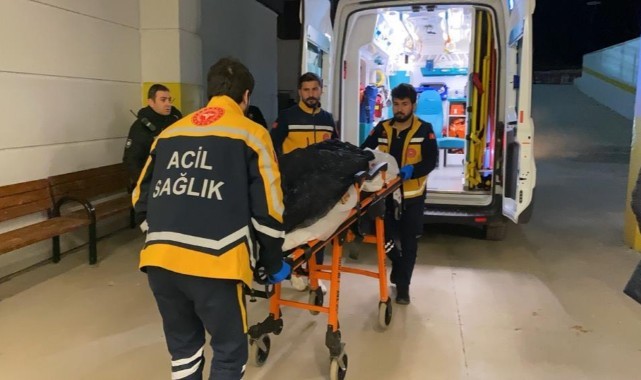 Akrabalar arasında silahlı çatışma: çok sayıda ölü ve yaralı var
