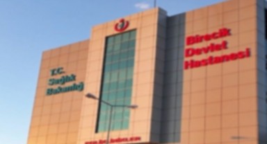 Birecik'te kontrolden çıkan otomobil menfeze çarptı: 3 yaralı