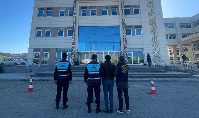Çanakkale'de 1 koç ve 3 koyun çalan 2 şüpheli yakalandı
