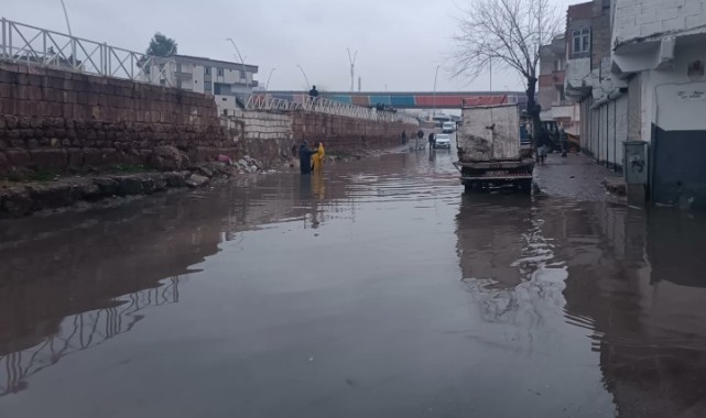 DEM Urfa İl Örgütü: Sel felaketinden ders alınmadı