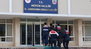 MİT ve jandarmadan PKK operasyonu: 2 terörist yakalandı