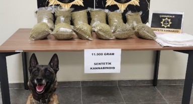 Piyasa değeri 6 milyon TL sentetik kannabinoid ele geçirildi