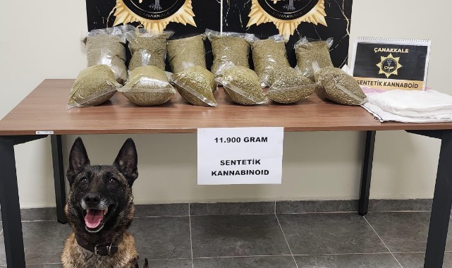 Piyasa değeri 6 milyon TL sentetik kannabinoid ele geçirildi