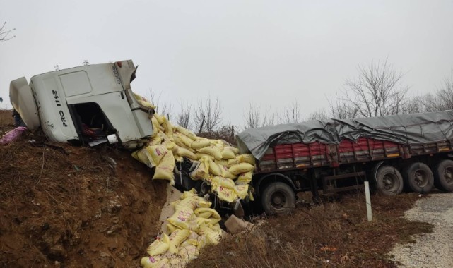 Yem yüklü tır yoldan çıktı: 2 yaralı