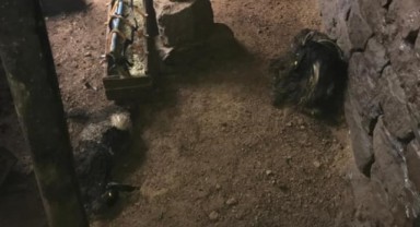 Bitlis’te ağıl çöktü, 20 hayvan telef oldu