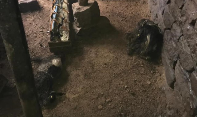 Bitlis’te ağıl çöktü, 20 hayvan telef oldu