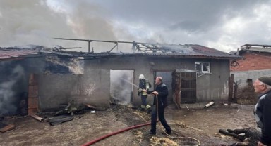 Köyde yangın faciası! 2 büyükbaş telef oldu