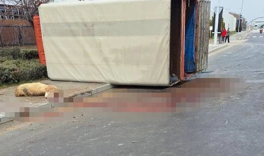 Küçükbaş hayvan yüklü kamyon devrildi: 1 yaralı