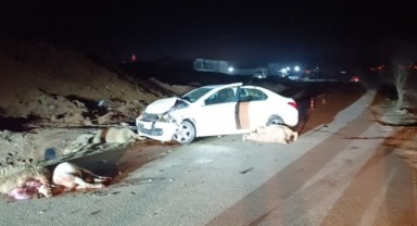 Otomobil koyun sürüsüne çarptı: 1 yaralı