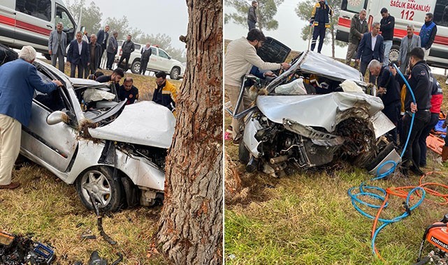 Urfa’da araç ağaca çarptı! Sürücü ağır yaralandı
