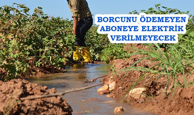 Dicle Elektrik’ten çiftçilere bir uyarı daha!