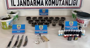 Saksılara ekilmiş 35 kök kenevir ele geçirildi
