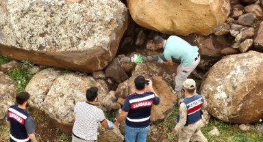 Şanlıurfa merkezli 5 ilde operasyon! 13 gözaltı