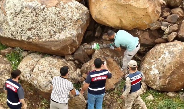 Şanlıurfa merkezli 5 ilde operasyon! 13 gözaltı