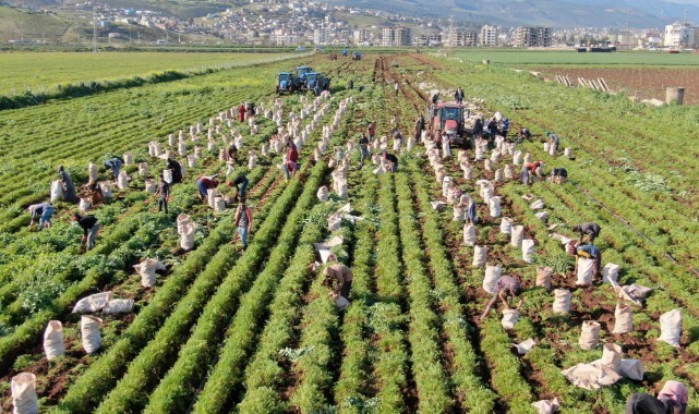 Tarım işçilerinin dikkatine! Resmi Gazete yayımlandı