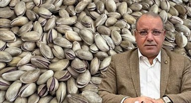 Türkiye'de bu sene ne kadar fıstık ihraç edildi?