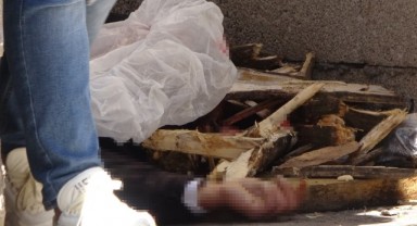 Yasak aşkta eşini ve sevgilisini öldürdü