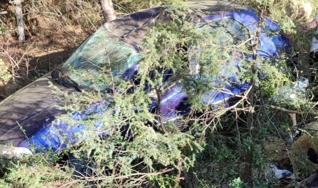 Yoldan çıkan otomobil şarampole uçtu: 1 yaralı