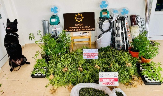 Zehir tacirinin evi uyuşturucu serası çıktı