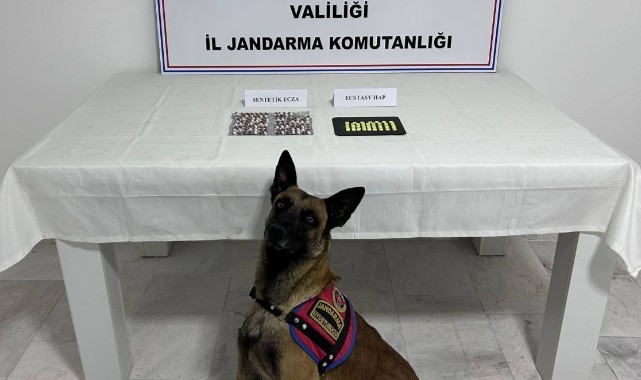 Aile boyu uyuşturucu taciri çıktılar