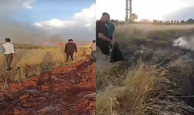 Binlerce dönümlük arpa tarlası yanmadan vatandaşlar yetişti