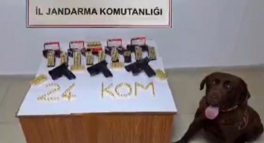 Erzincan’da silah kaçakçısı 1 kişi yakalandı
