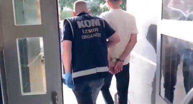 Kertenkeleler Operasyonu'nda suç örgütü çökertildi; 9 gözaltı