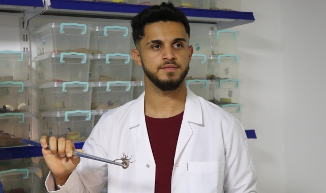 Şanlıurfa'da yetiştirdiği akreplerin zehrini yurt dışına satıyor
