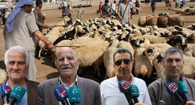 Şanlıurfalılar: Kurbanlık almak emekli ve asgari ücretli için hayal!