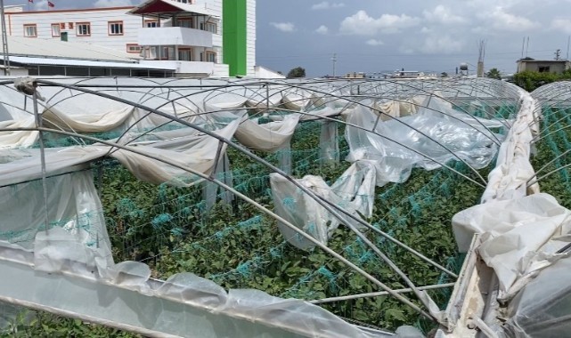 Şiddetli fırtına seralara zarar verdi