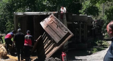 Tır devrildi, onlarca koyun telef oldu