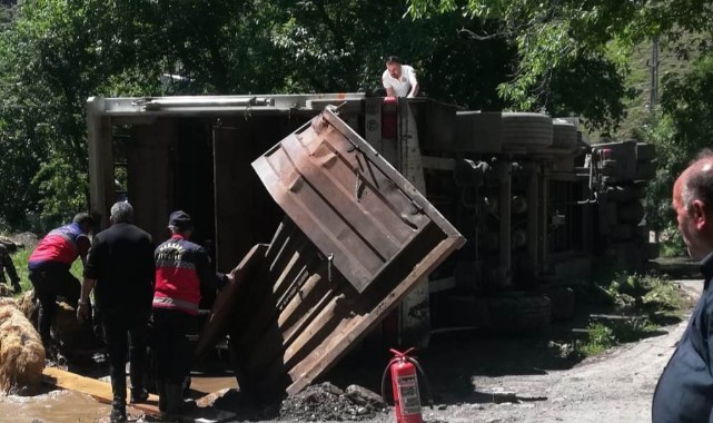 Tır devrildi, onlarca koyun telef oldu