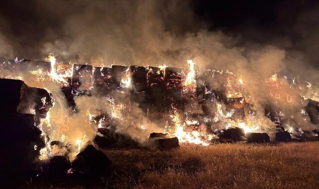 Urfa'da tonlarca saman küle döndü