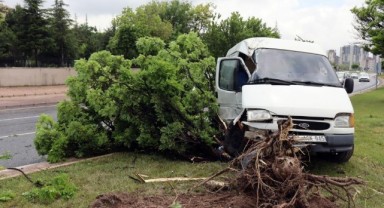 Yoldan çıkan araç refüjdeki ağaca çarptı: 1'i ağır 2 yaralı