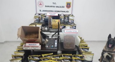 Ağaçların arasında saklanan düzensiz göçmenler yakalandı