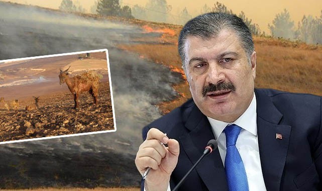 Diyarbakır ile Mardin arasında meydana gelen yangınlarda 11 kişi can verdi