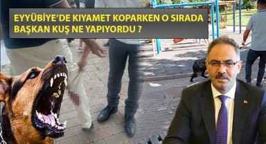 Eyyübiye'de kuduz vakası, muhtara saldırı oldu ama Başkan Kuş, ortada yok