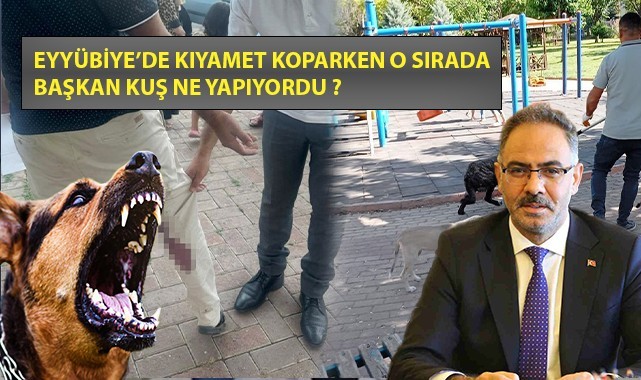 Eyyübiye'de kuduz vakası, muhtara saldırı oldu ama Başkan Kuş, ortada yok