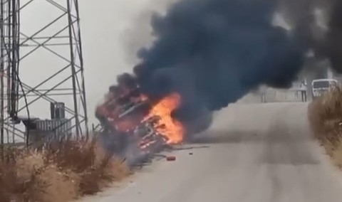 Kamyona giren arı az kalsın canından ediyordu!