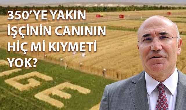 "Maalesef korkulan oldu"  Ceylanpınar'da 350 işçi zehirlendi